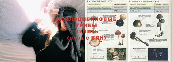 кокаин колумбия Магас
