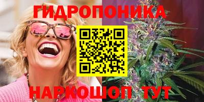 Альфа ПВП Можайск
