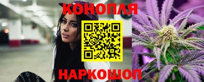 Альфа ПВП Можайск