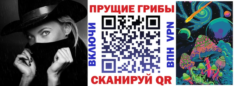 Псилоцибиновые грибы мицелий  Отрадный 