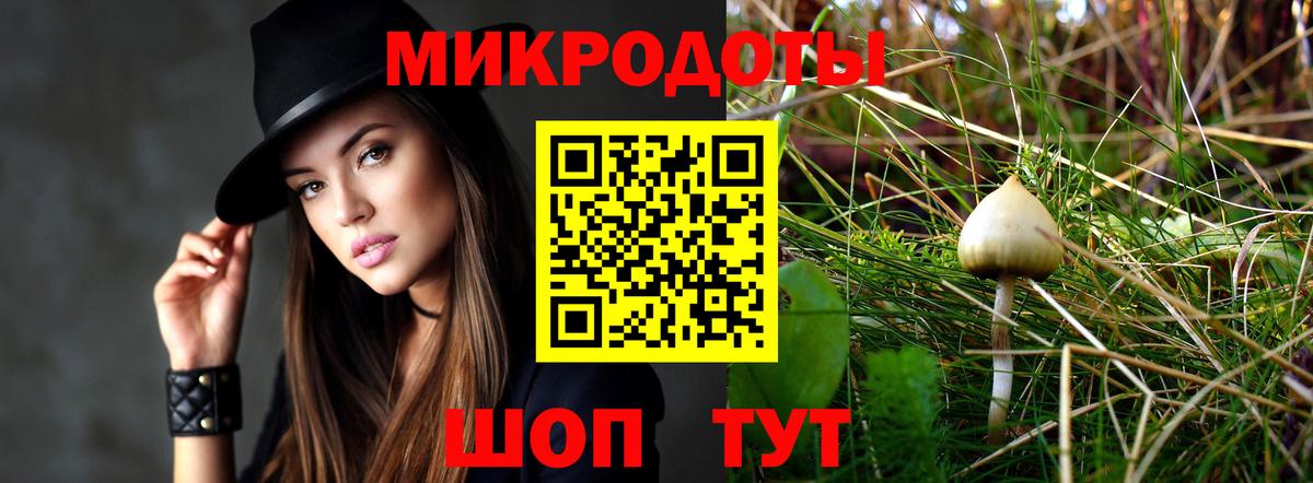 Псилоцибиновые грибы прущие грибы  Вход с VPN  Отрадный  Псилоцибиновые грибы мицелий 