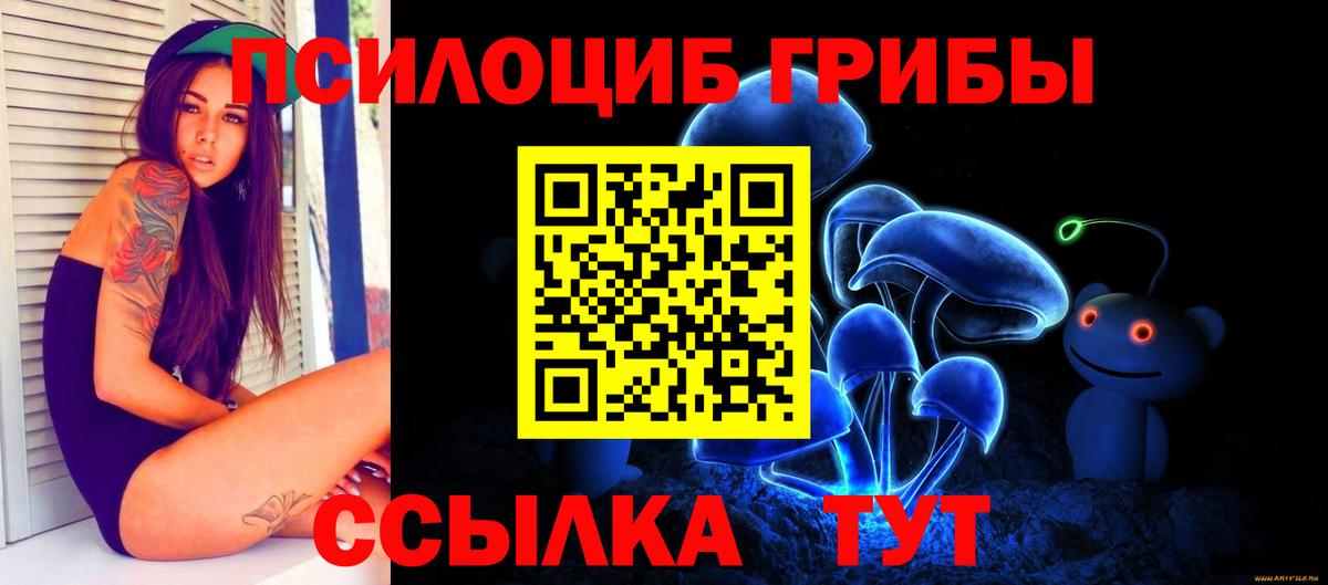 Псилоцибиновые грибы мицелий Отрадный