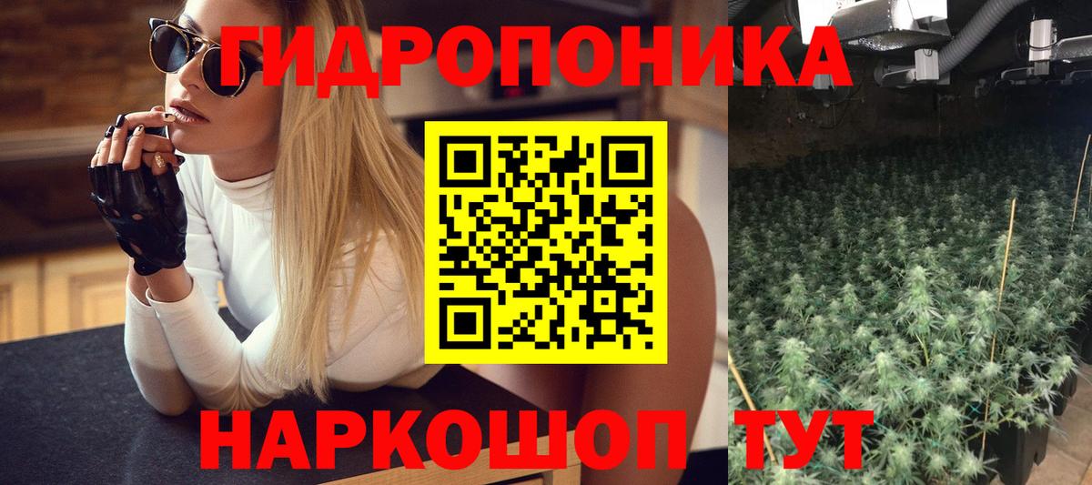 Шишки марихуана White Widow  Бошки марихуана сатива  Отрадный  Вход с VPN  Бошки Шишки Bruce Banner 